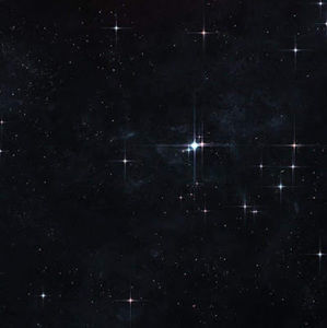 Meet your Posher, Roxane